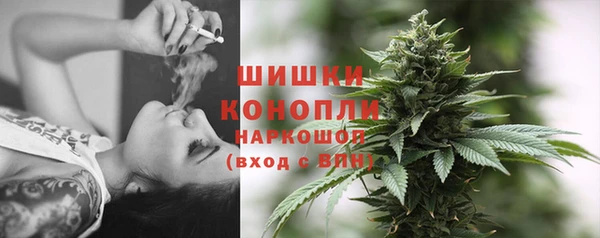 MESCALINE Бородино