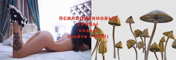 MESCALINE Бородино