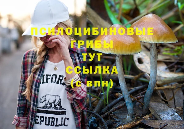 хмурый Бронницы